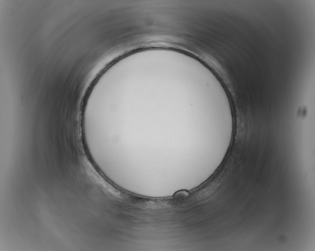 X0000114151384200911051433
