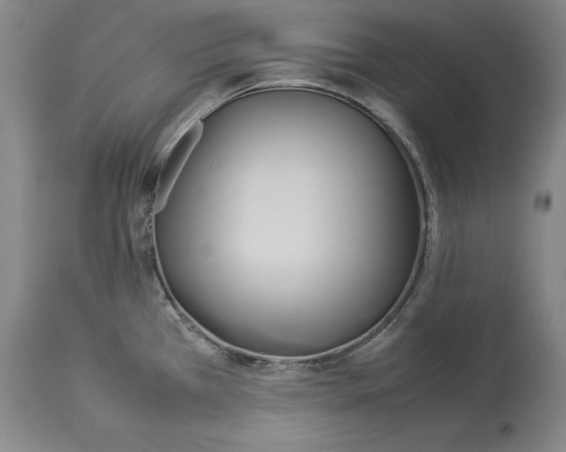 X0000114151385200911051433