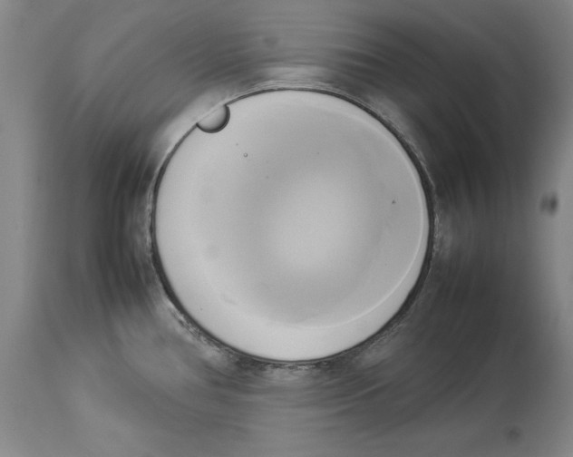 X0000114151386200911051433