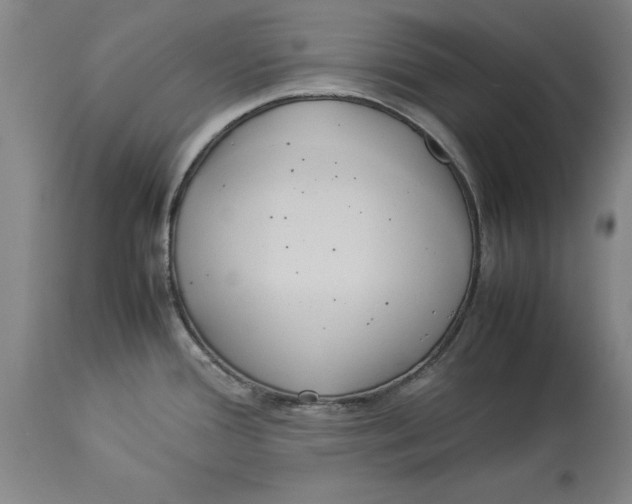 X0000114151388200911051433