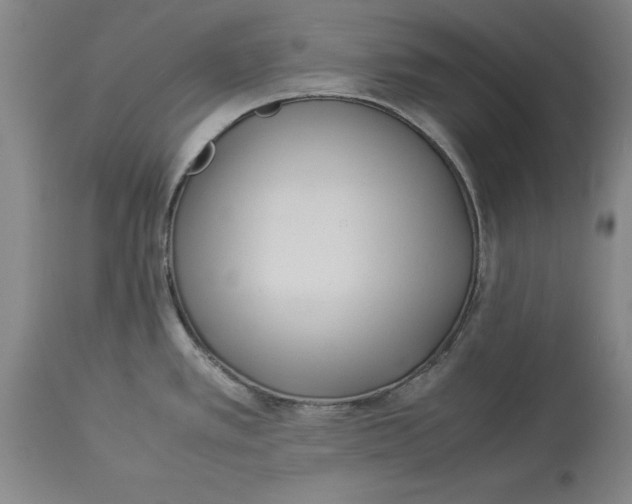 X0000114151389200911051433