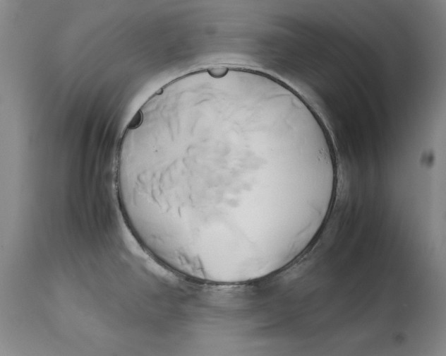 X0000114151390200911051433
