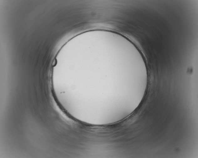 X0000114151391200911051433
