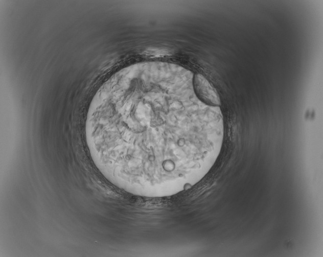 X0000114151393200911051432