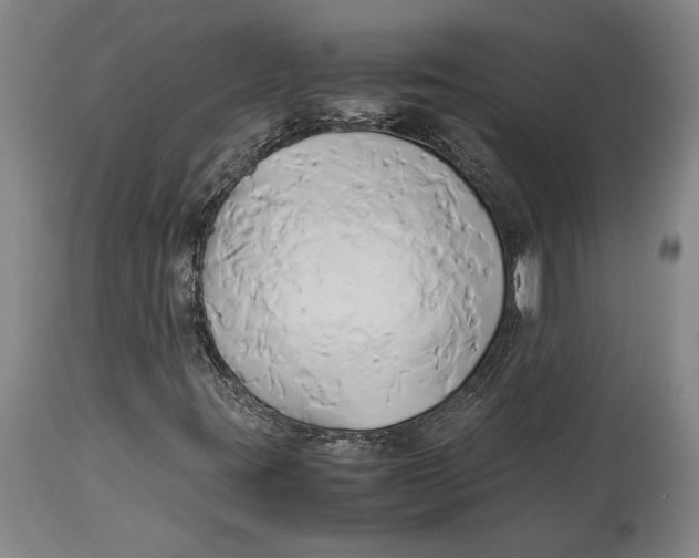 X0000114151395200911051432