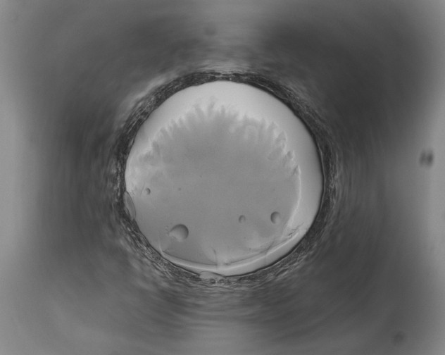 X0000114151398200911051432
