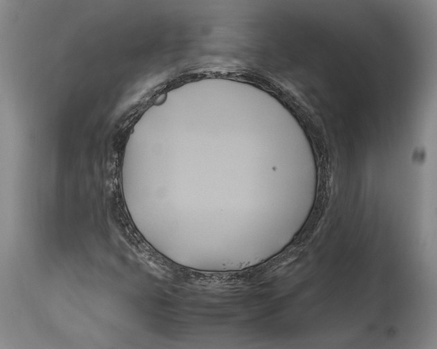 X0000114151399200911051432