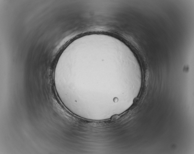 X0000114151404200911051432