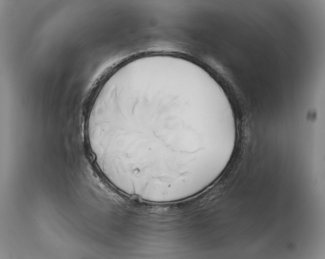 X0000114151408200911051432