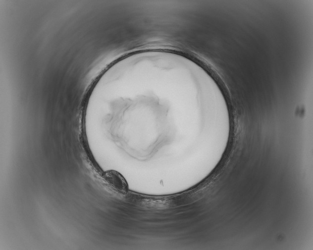 X0000114151415200911051432