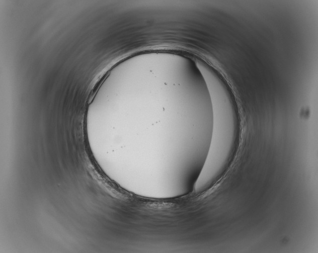 X0000114151417200911051432