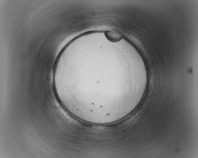 X0000114151420200911051433