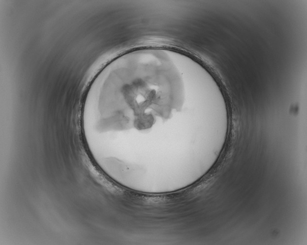 X0000114151421200911051433