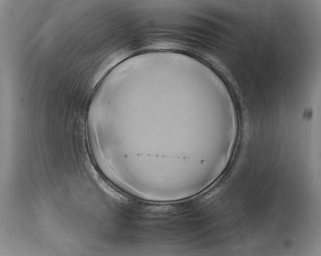 X0000114151425200911051433