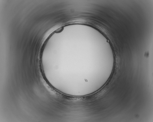 X0000114151426200911051433
