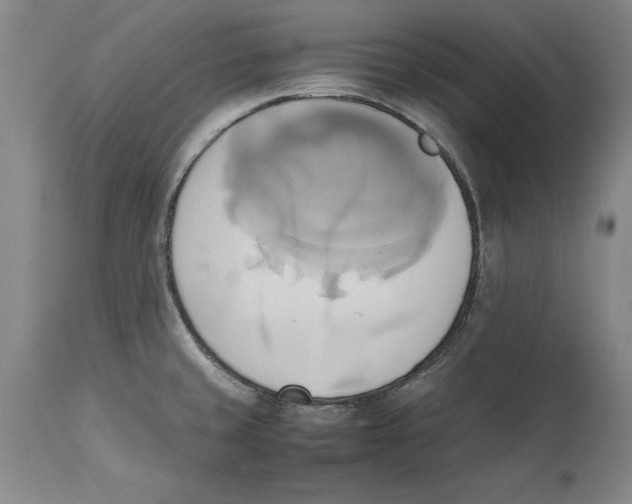 X0000114151429200911051433