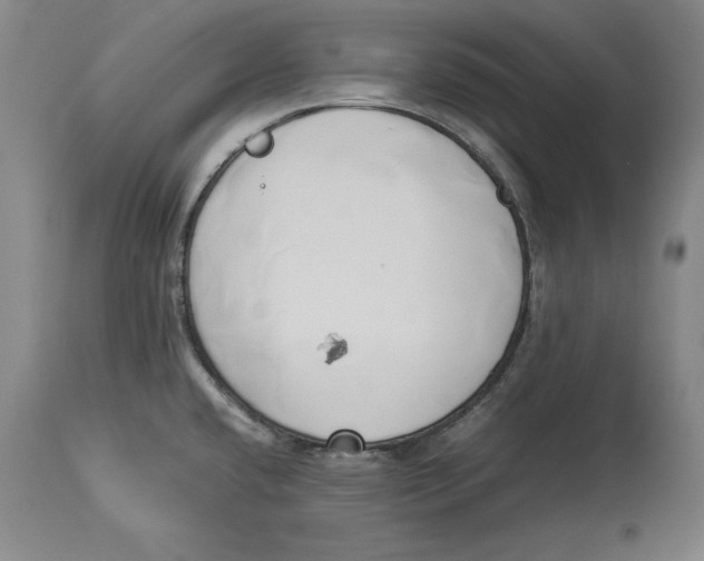 X0000114151432200911051433