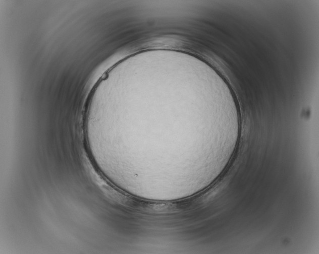 X0000114151434200911051433