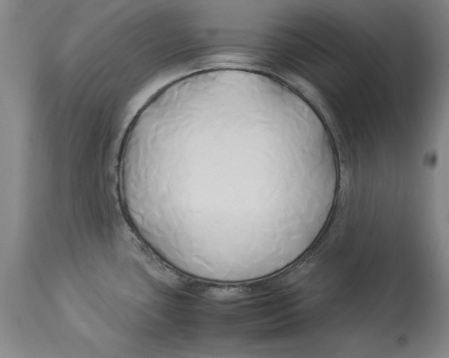 X0000114151435200911051433