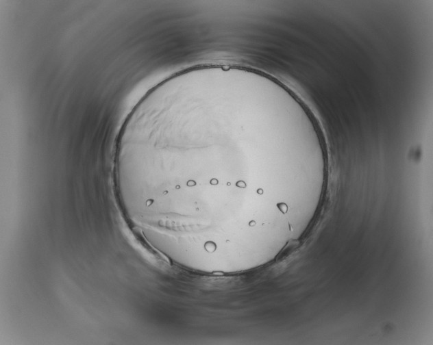 X0000114151437200911051433