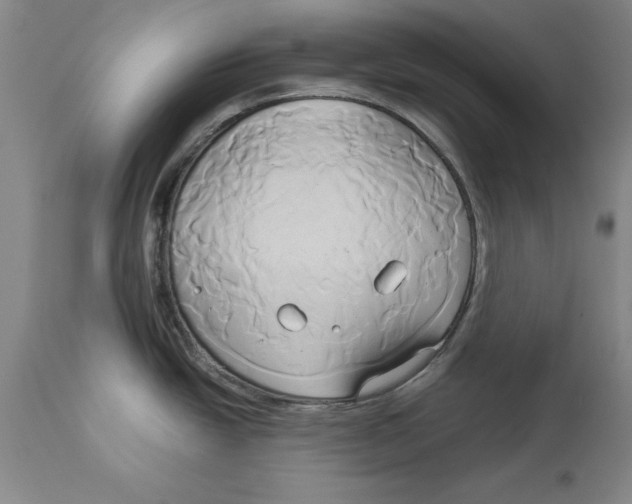 X0000114151438200911051433