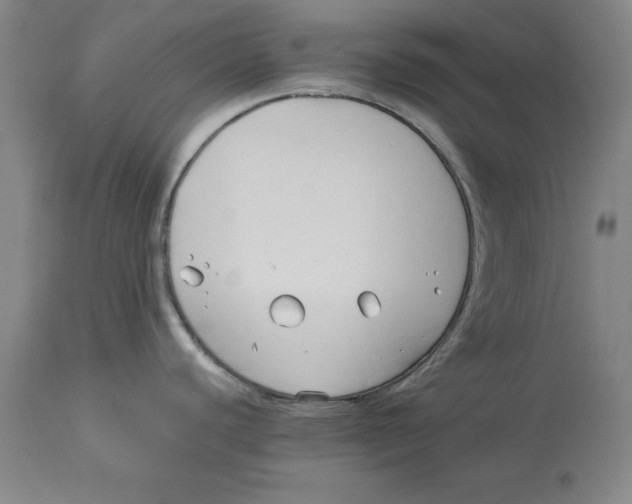 X0000114151440200911051433