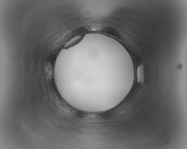 X0000114151443200911051432