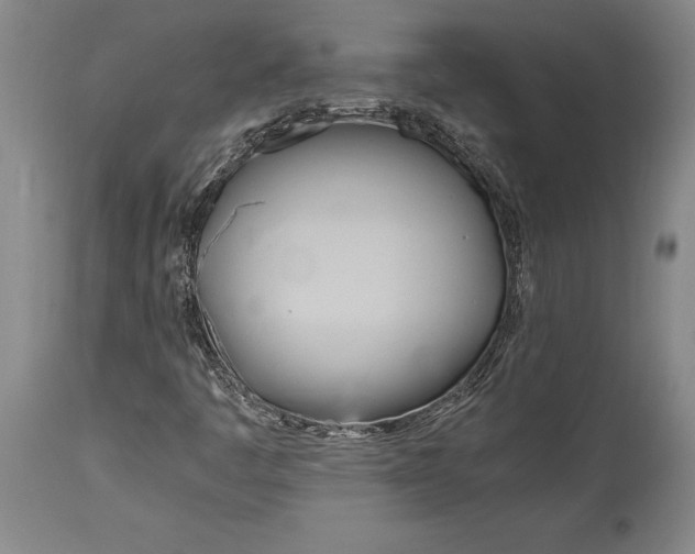 X0000114151445200911051432