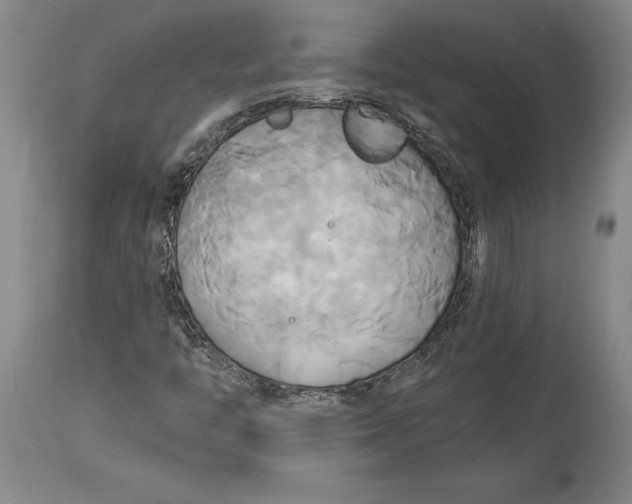 X0000114151446200911051432