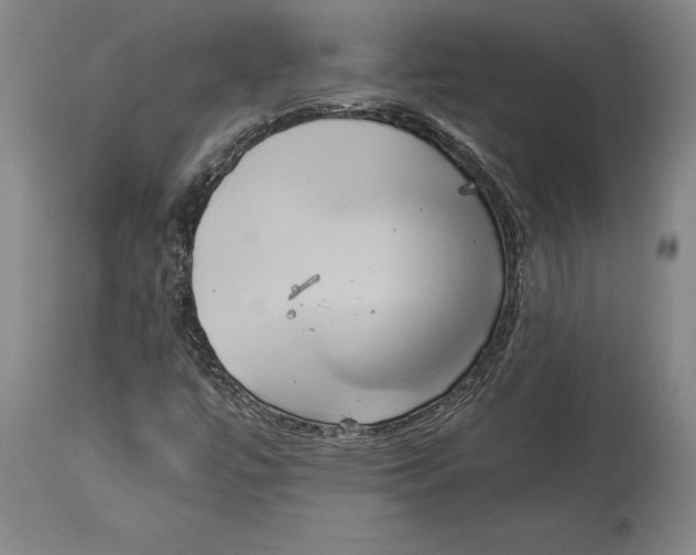 X0000114151447200911051432