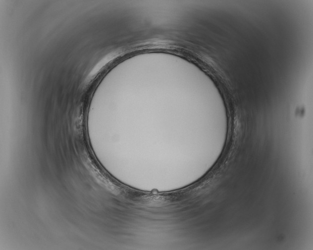 X0000114151450200911051432