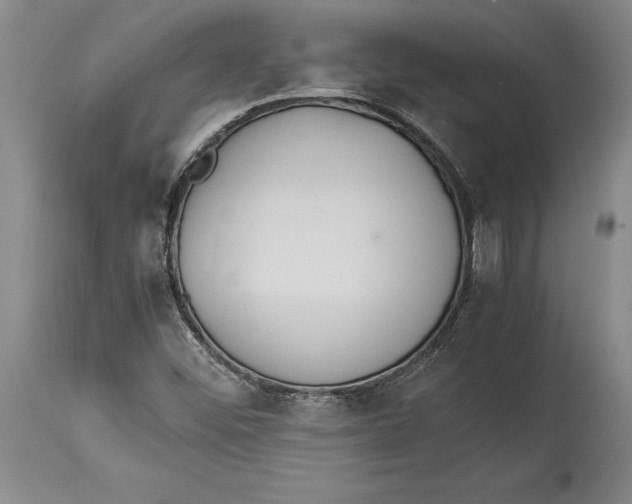 X0000114151452200911051432