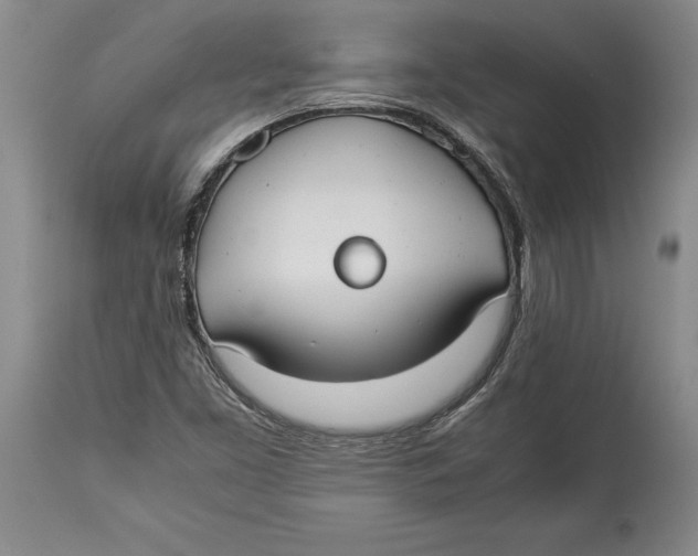 X0000114151453200911051432
