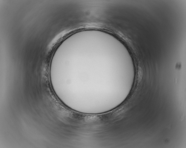 X0000114151454200911051432