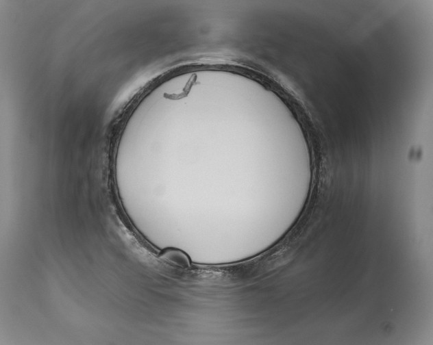 X0000114151456200911051432