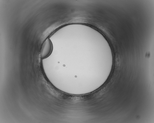 X0000114151461200911051432