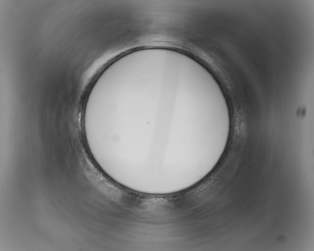 X0000114151462200911051432