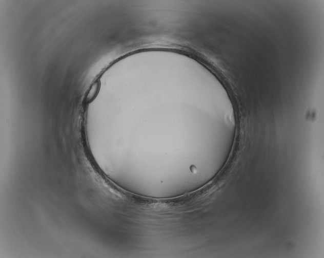 X0000114151463200911051432