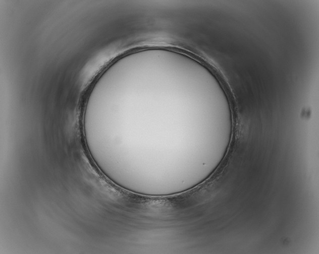 X0000114151464200911051432