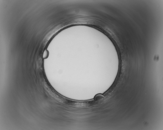 X0000114151465200911051432