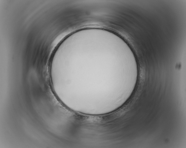 X0000114151466200911051432