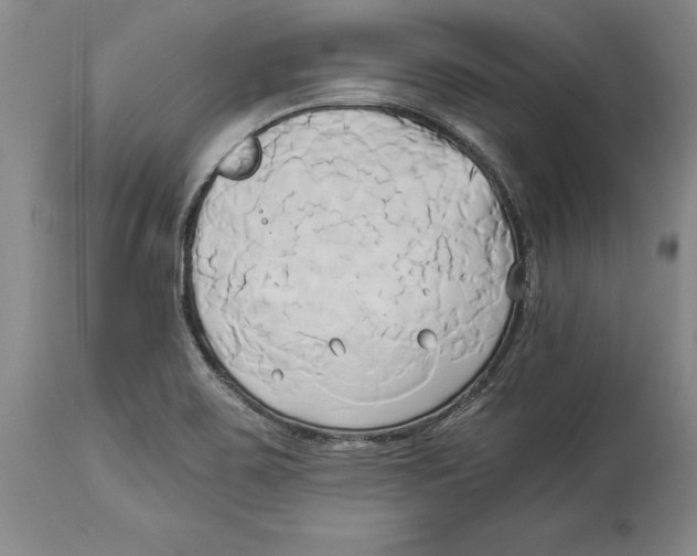 X0000114151467200911051432