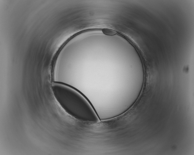 X0000114151468200911051432