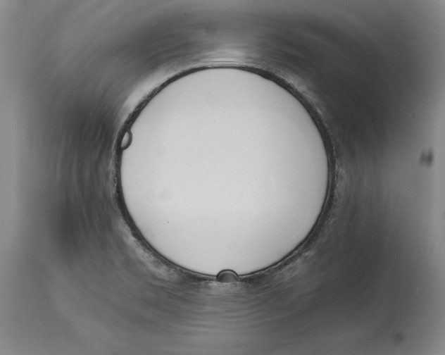 X0000114151469200911051432