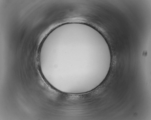 X0000114151470200911051432