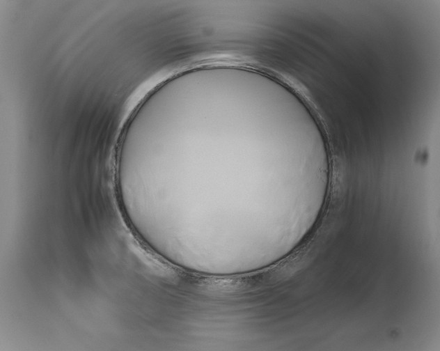 X0000114151474200911051432