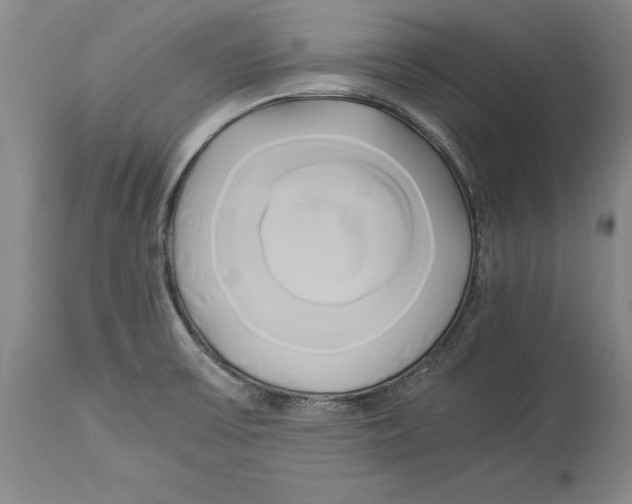 X0000114151475200911051432