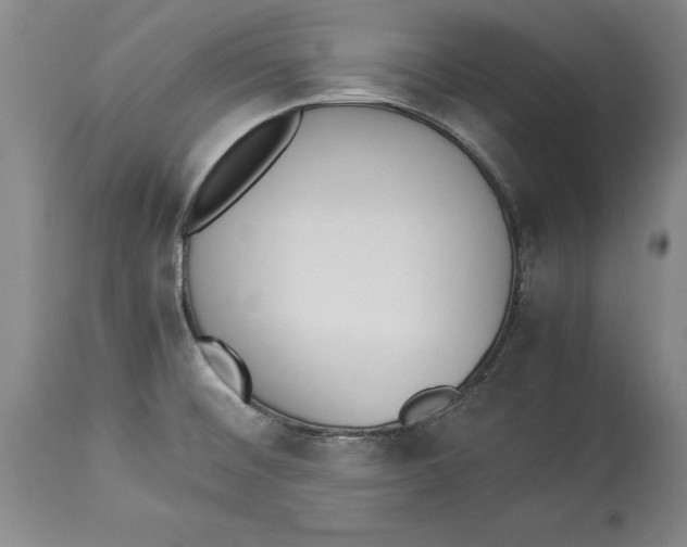 X0000114151476200911051432