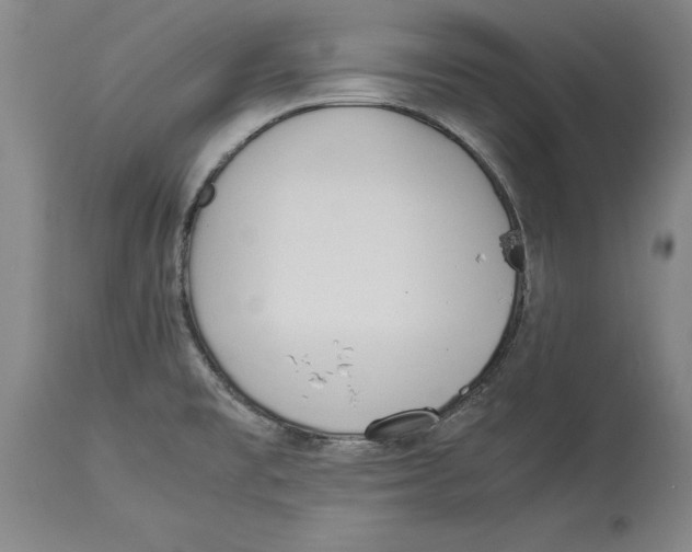 X0000114151477200911051432