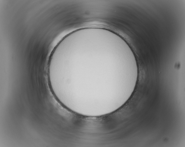 X0000114151478200911051432